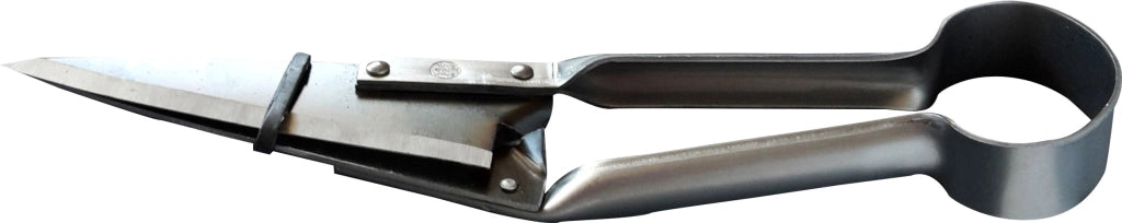 2 Buoi FORBICI PER PECORA  cm. 29