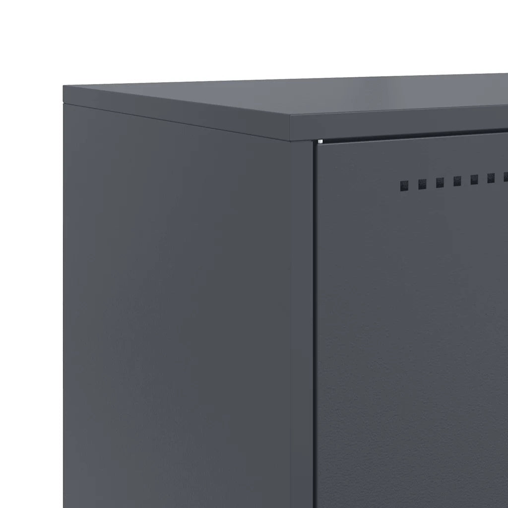 Credenza | Madia | Buffet da pranzo | Armadio da pranzo Antracite 68,5x38,5x107 cm in Acciaio