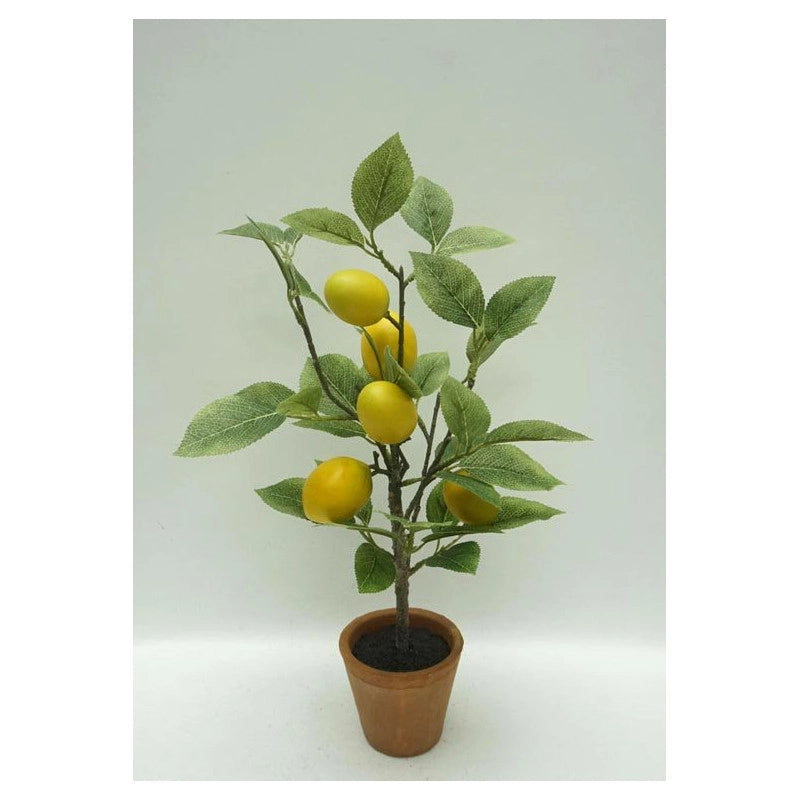 Set di 6 Piante Di Limone Artificiale In Vaso Di Terracotta H 43 Cm