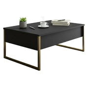 Tavolino da salotto Lavinia, Tavolo basso da caffè, Portariviste per divano, Ripiano da soggiorno, 90x60h40 cm, Antracite e Oro