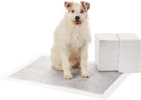 Pannelli di prova - controllo di odore a carbonio - design senza fughe - superficie ad alta aderenza - dimensione XL - 50 pezzi - grigio.
