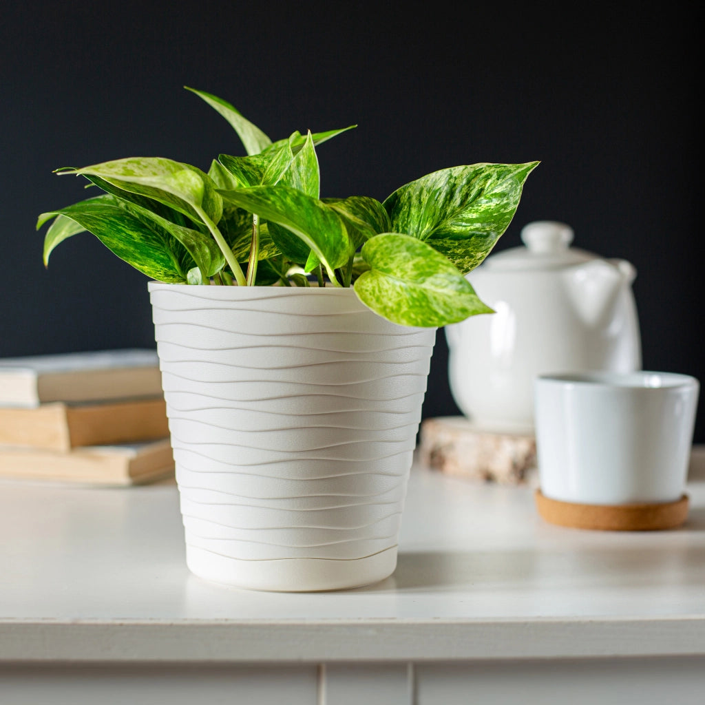 Vaso da fiori KADAX da 30 cm, con coperchio in plastica e supporto.