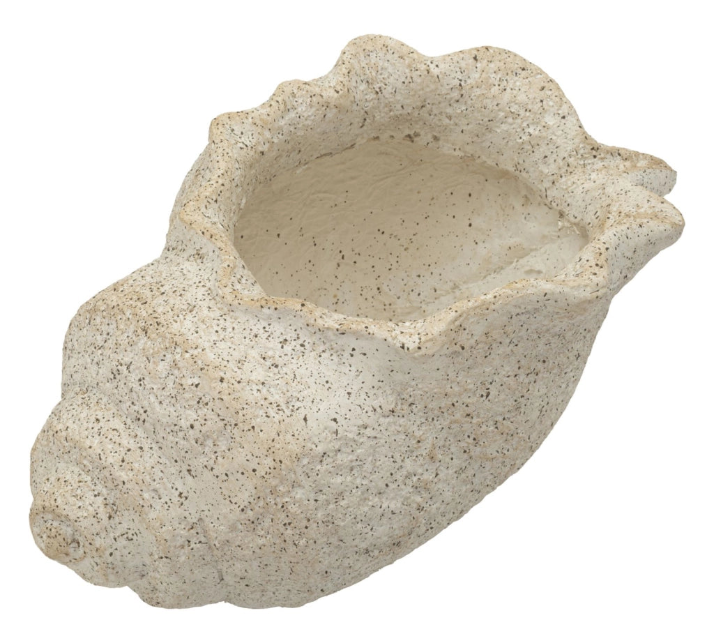 Vaso Shell Sand 35x23x18 cm in Mgo Beige