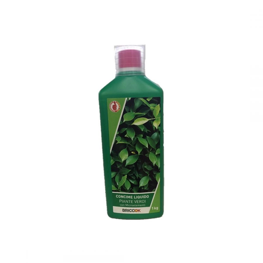 Concime per piante verdi brico ok 1000g