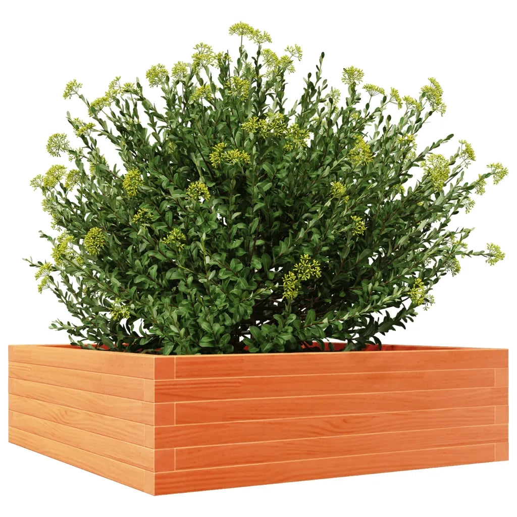 Fioriera Giardino Marrone Cera 80x80x23 cm Legno Massello Pino 847200