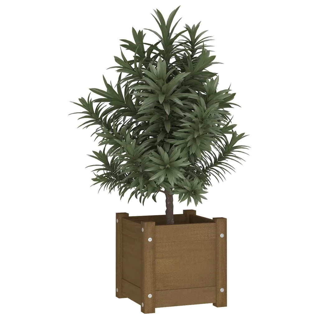 Fioriera | Cassetta per fiori | Vaso Giardino Marrone Ambra 31x31x31 cm Legno Massello Pino