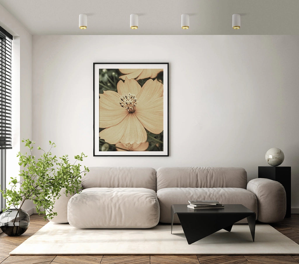 PROPILEI lampada da soffitto 1 Luce 4 Anelli Colorati in alluminio attacco GU10 in gesso bianco d.7cm