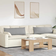 Cuscini da Divano 2 pcs Grigio Nuvola 120 x 40 cm Tessuto