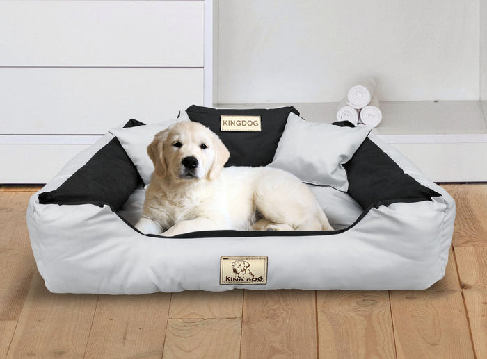 AIO FACTORY 100x75 cm KINGDOG Cuccia per cani impermeabile personalizzabile grigio chiaro
