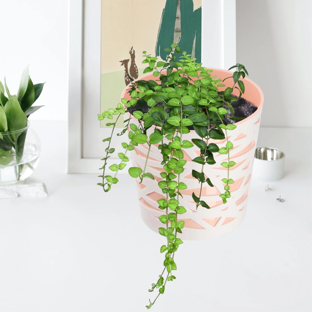 KADAX - Inserto in plastica per vaso di fiori e piante, 15 cm, beige