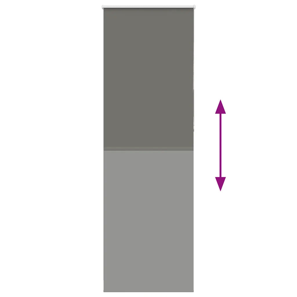 Tenda a Rullo Oscurante 65x210 cm Larghezza Tessuto 60,7 cm 4011173