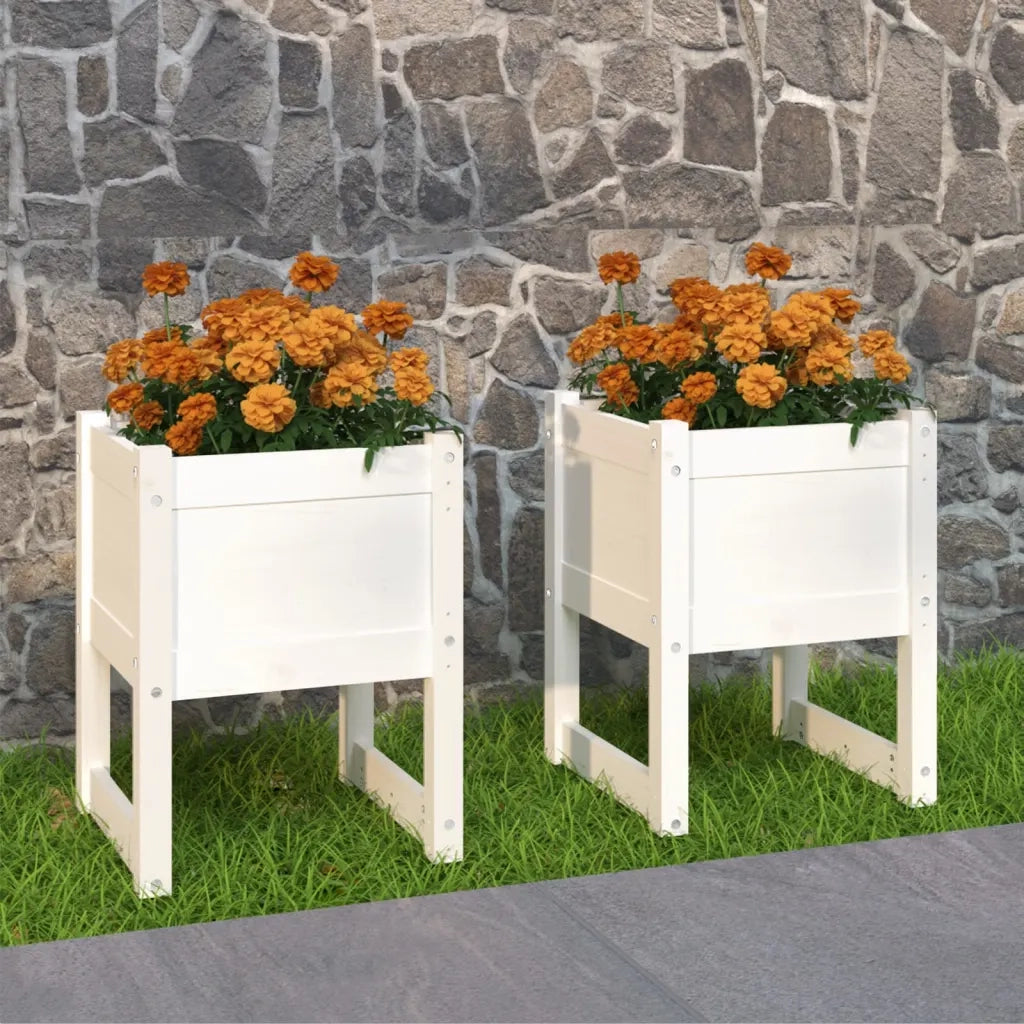 2 pz Fioriere | Cassetta per fiori | Vaso Bianche 40x40x52,5 cm in Legno Massello di Pino