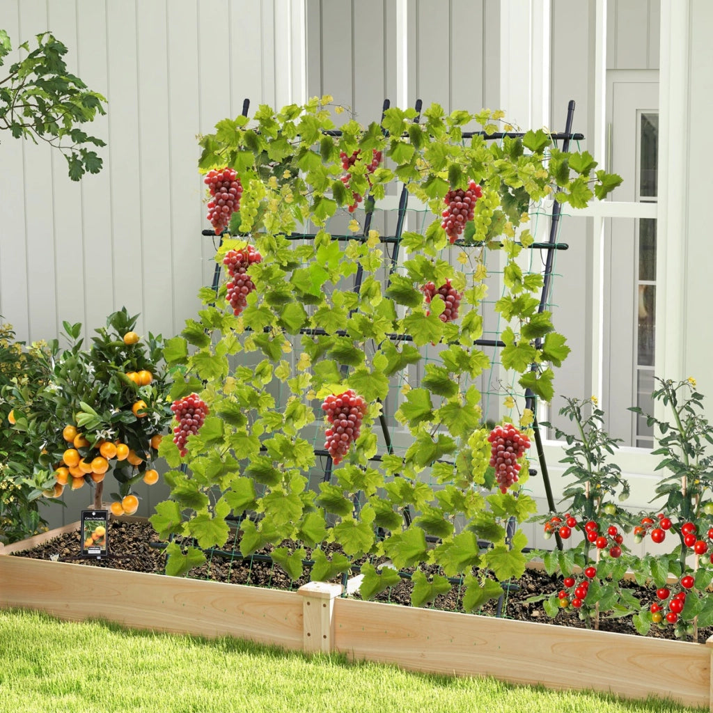 Traliccio da giardino alto 187cm per piante rampicanti-Supporto verticale per piante con rete pali in metallo Nero