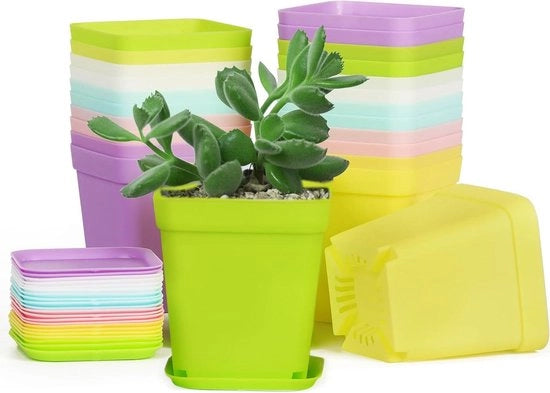 Pannelli per piante in plastica da 24 pezzi, 7 cm quadrati con piatti e fori, 6 colori per piante da interni ed esterni per piante piccole