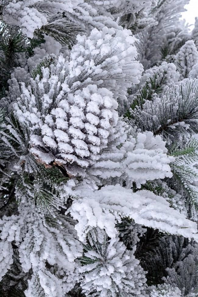 Albero di Natale Artificiale Innevato 270 cm 3293 Rami Verde
