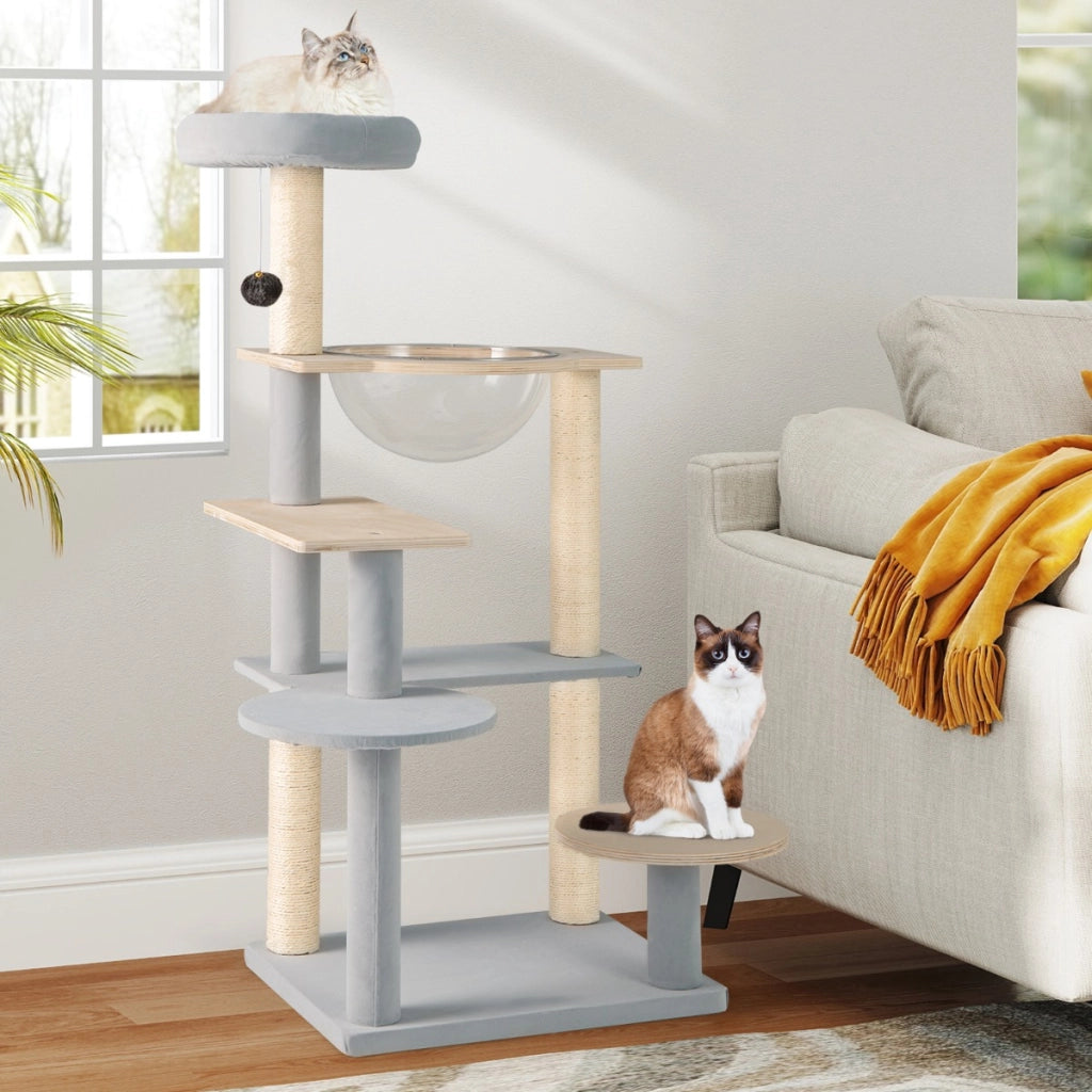 Albero per gatti a pi¨´ livelli con piattaforma imbottita rimovibile, Centro attivit¨¤ per gatti da interno alto 113cm-Alberi Tiragraffi