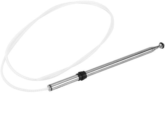 Antenna per Auto Resistente al Maltempo - Sostituzione Antenna - Acciaio Inossidabile - Adatto per Lexus - Lunghezza del Mast 24 cm - Installazione Facile - Antenna Radio