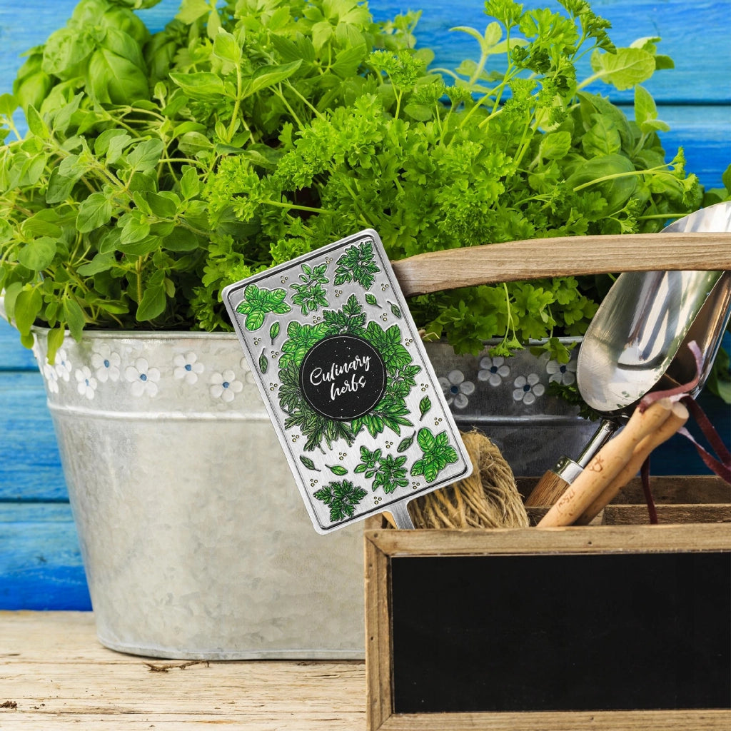 Etichettatrice per piante KADAX per erbe aromatiche e basilico in metallo