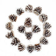 Decorazioni di Natale di Dennenappello 18 pezzi - Neve - Ornamenti di Natale per Albero di Natale - Decorazioni di Natale Naturali - Stile Festivo - Decorazioni di Natale