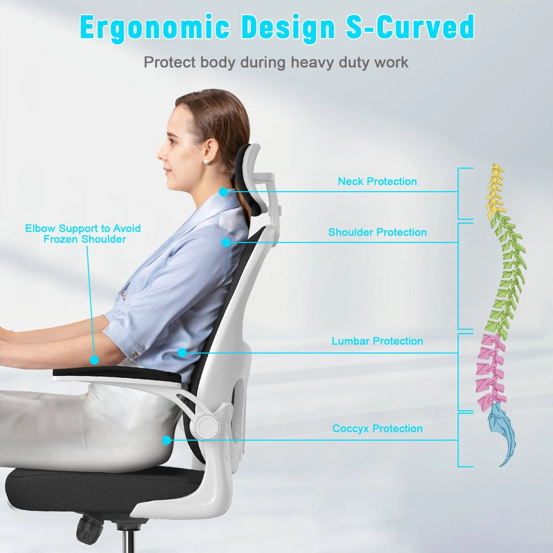 Sedia da ufficio - Poltrona ergonomica HAMLODY con braccioli 2D, altezza poggiatesta supporto lombare schienale regolabile bianco
