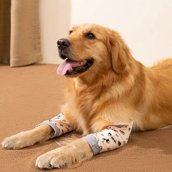 Braccio Anteriore per Cani - Protezione Articolazione e Ginocchio per Cani di Dimensioni Medie e Grandi, Assistenza per Infortuni e Ferite (2XL)
