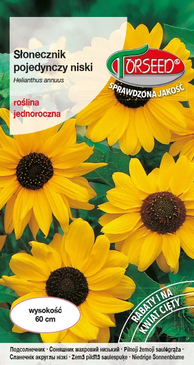 Fiore di girasole - Helianthus annuus singolo basso giallo 2g