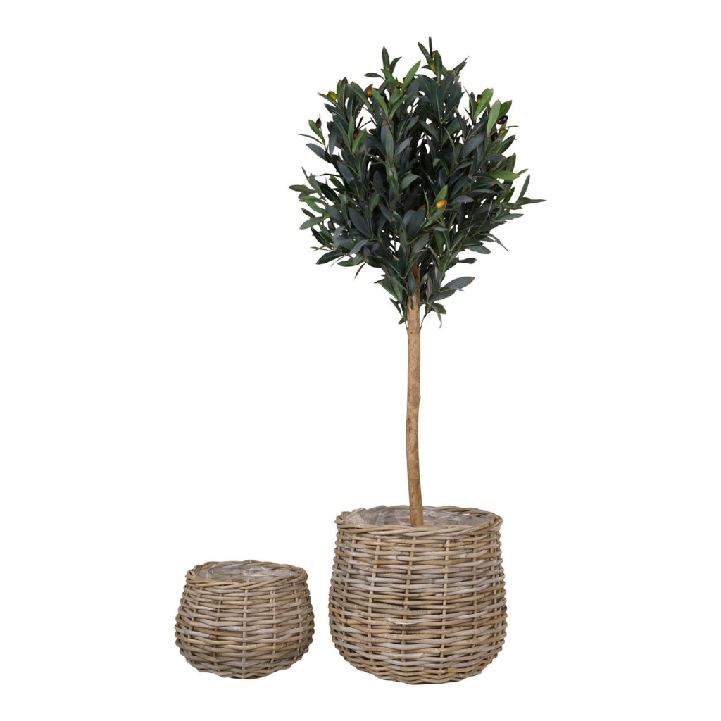 Set di 2 Cesti Portaoggetti Pulo, Marrone, Rattan, 27x27x21 cm