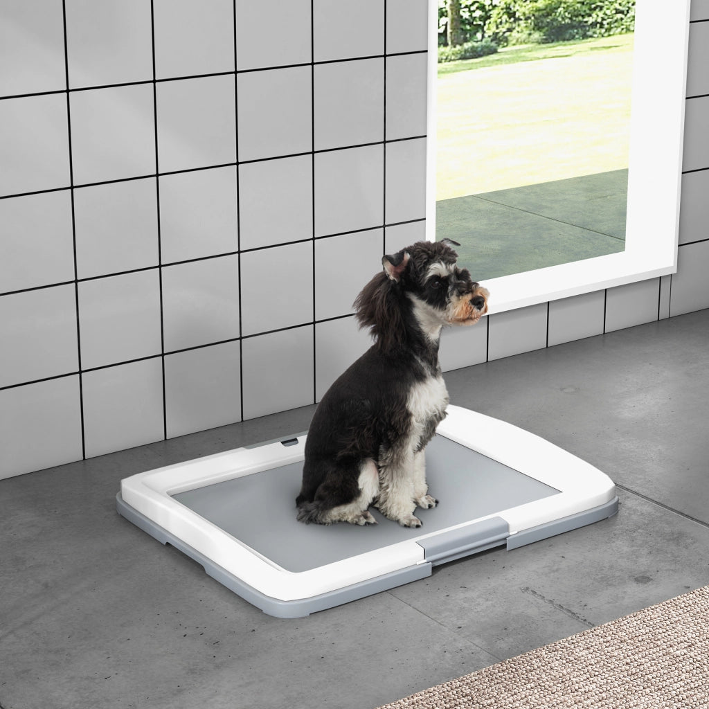 Casetta per Cani con Bandeja Addestramento Interno Esterno ¨C Minimal ¨C Grigio 63x48.5x6 cm