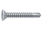1000pz vite autoperforante tsp cava ph in acciaio zincato bianco - ø mm.3,5x16 cod:ferx.fer439435