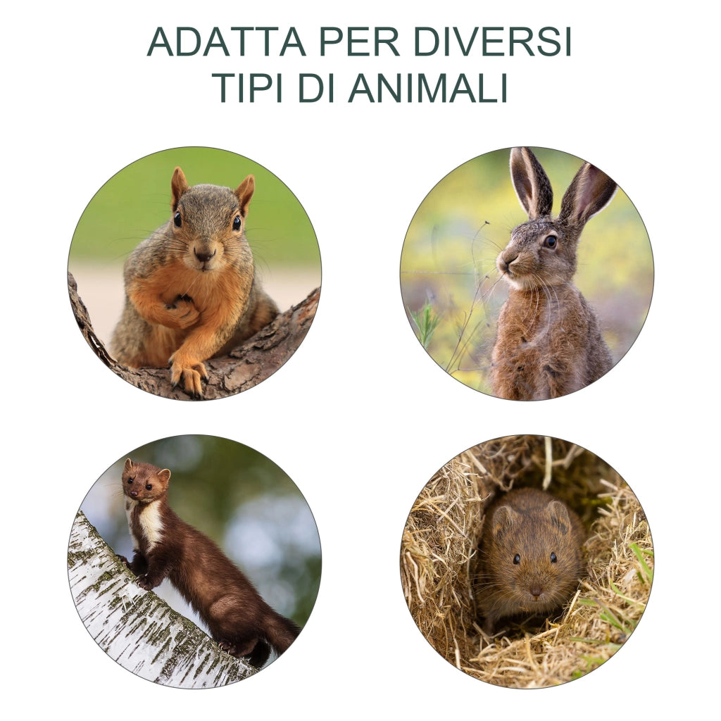 EasyComfort Trappola per Ratti, Topi e Nutrie Pieghevole in Acciaio