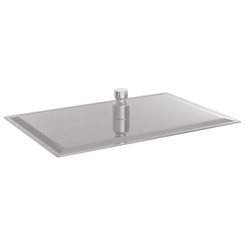 vidaXL Testa Doccia a Pioggia Acciaio Inox 304 30x20 cm Rettangolare