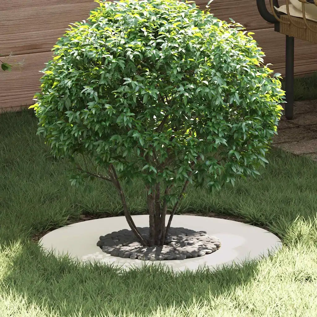 adatto per Anello d'Albero Piatto Bianco ?30 / 60 cm Acciaio CFW9101521
