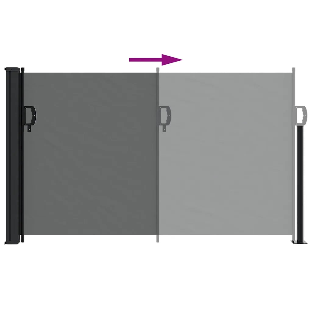 Tenda da sole laterale retrattile antracite 117x300 cm 4004293