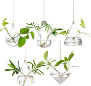 Set di 5 Vaschette Sospese per Succulente e Candelabri con Corda per Uso Interno ed Esterno
