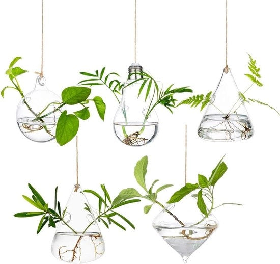 Set di 5 Vaschette Sospese per Succulente e Candelabri con Corda per Uso Interno ed Esterno