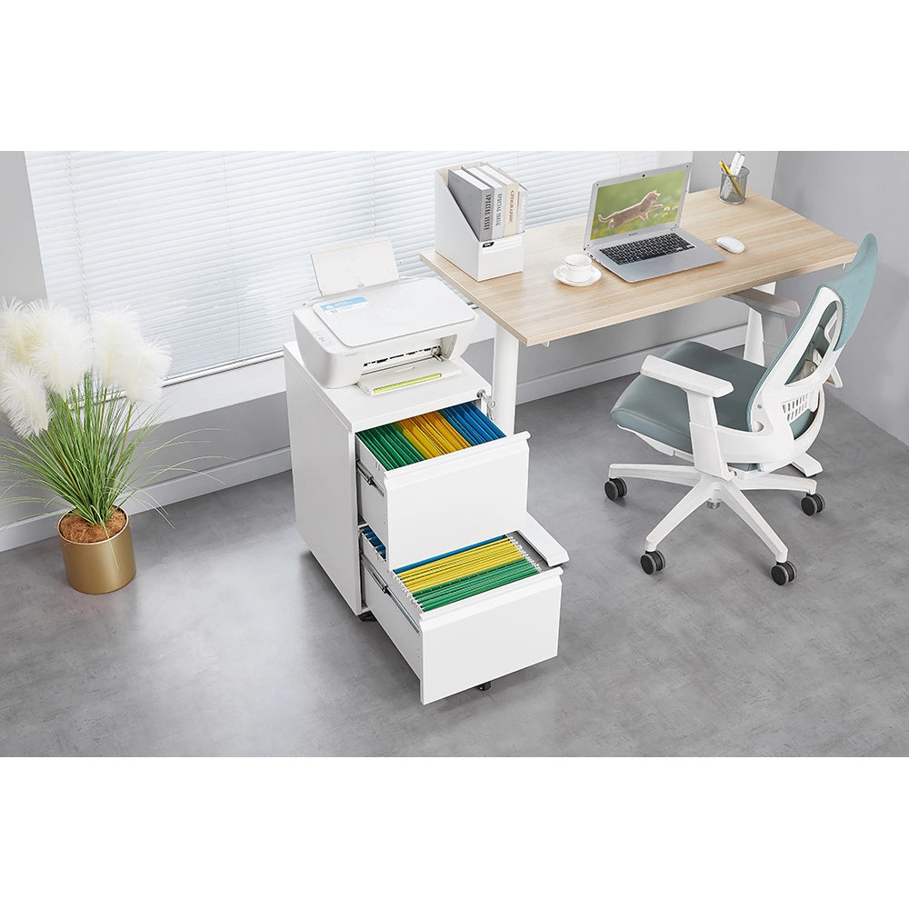 Archivio metallico mobile a 2 cassetti con serratura - Xylo - 25,6 pollici di altezza, bianco