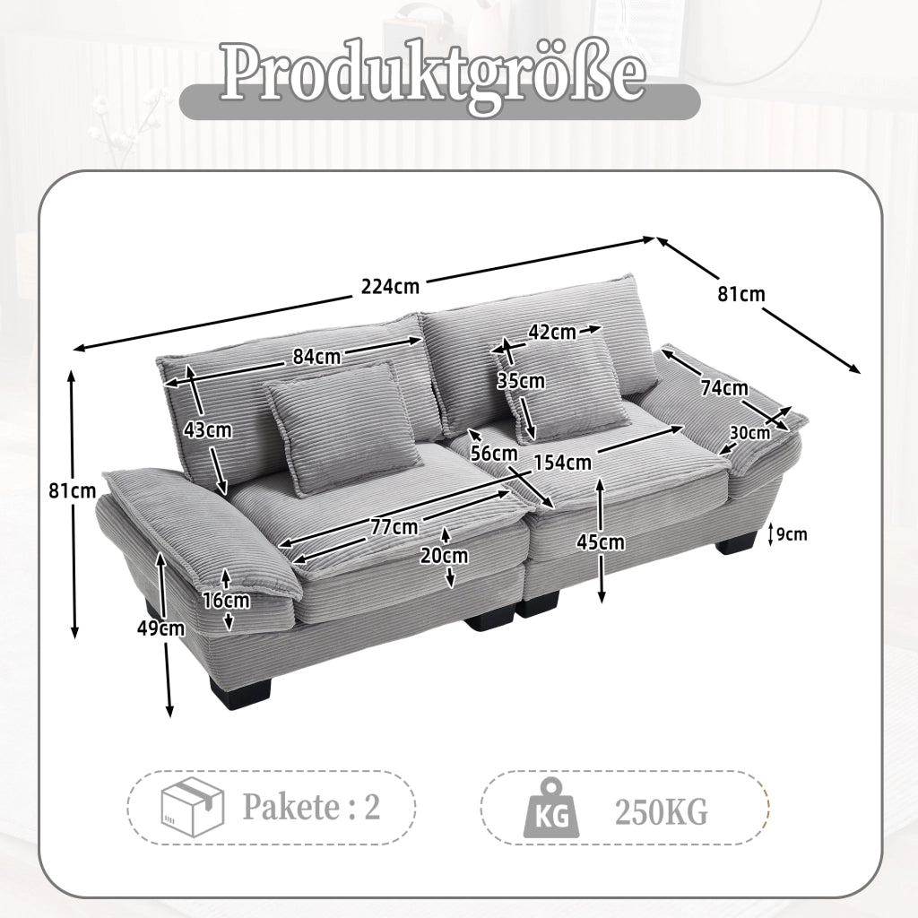 OKWISH Divano Lineare 2 Posti, Seduta Extra Profonda con Braccioli Imbottiti e 2 Cuscini, Velluto Grigio Chiaro, 224 × 81 × 81 cm