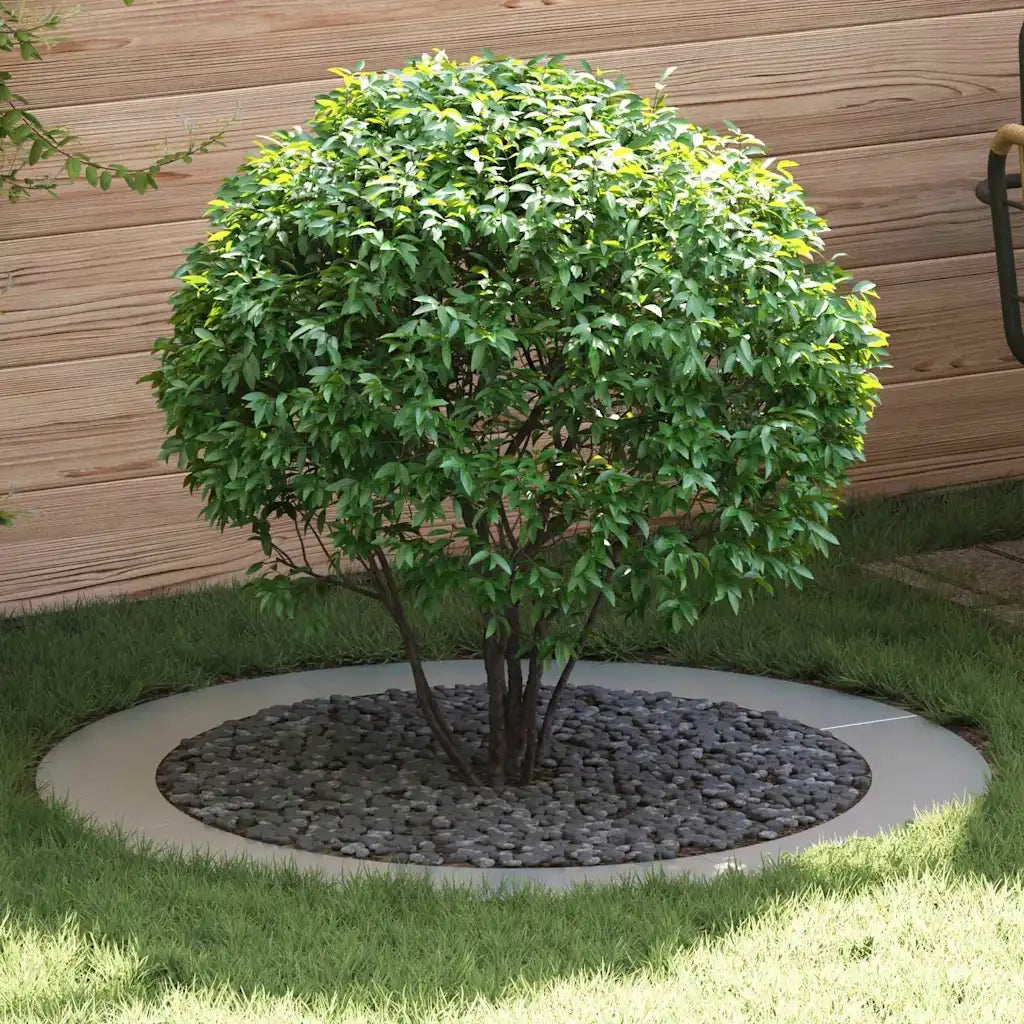 adatto per Anelli d'Albero Piatto 5 pz Argento ?90 / 120 cm CFW3297695