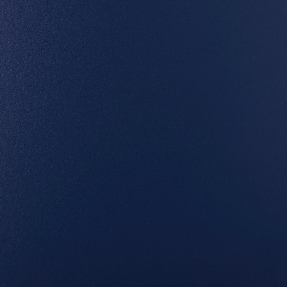 Credenza a 2 ante in acciaio blu navy Mobili per ufficio a casa Ripiani per gambe Design industriale