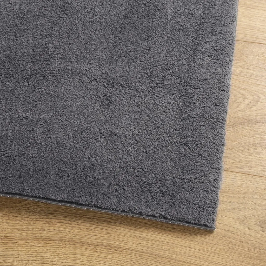 Tappeto Pelo Corto HUARTE Morbido Lavabile Antracite 240x240 cm 375006