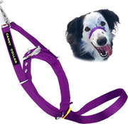 Collare per cani, aiuta nella formazione e prevenzione del trascinamento - Blu