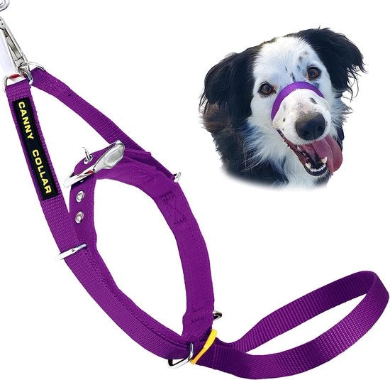 Collare per cani, aiuta nella formazione e prevenzione del trascinamento - Blu
