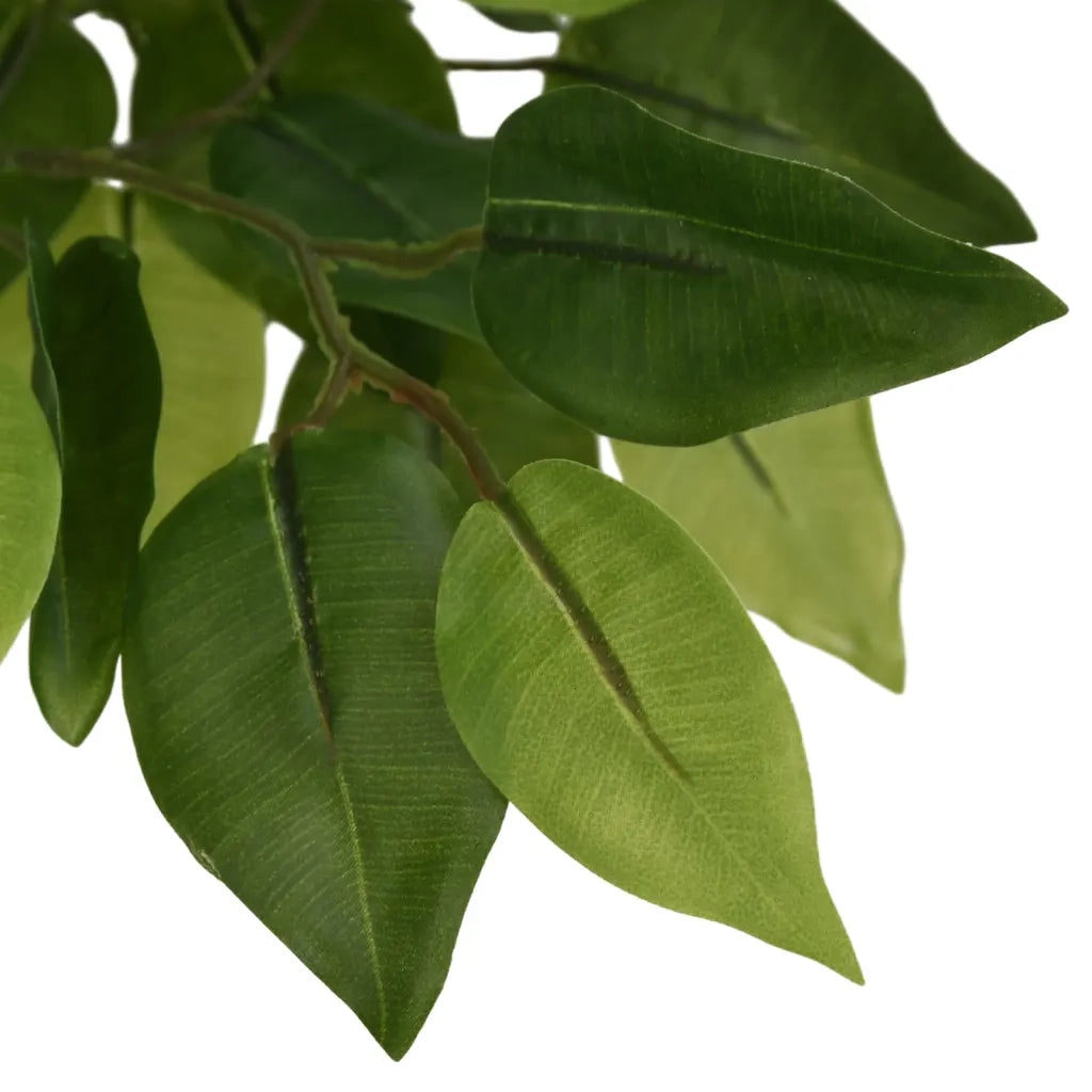Albero di Ficus Artificiale 1260 Foglie 200 cm Verde 359019