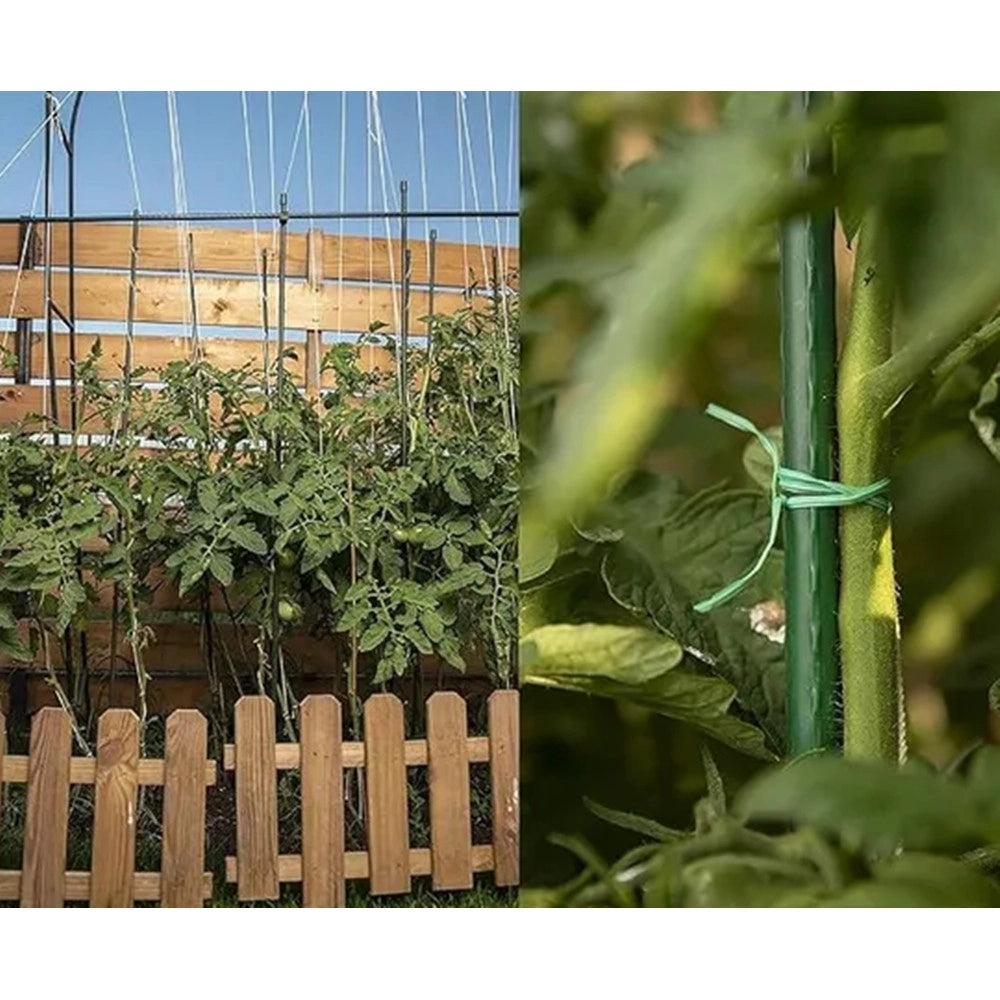 Trade Shop - Set 25 Pali Tutori Canna Per Sostegno Piante Rampicanti Pomodori H120cm ø11mm Grn19 013189 -