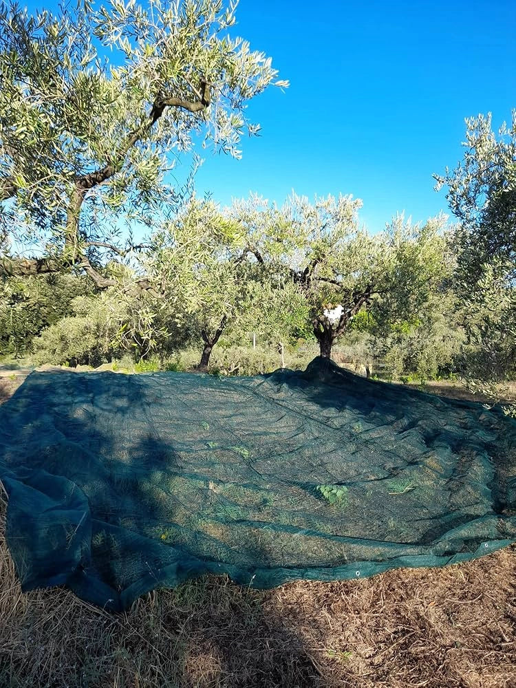 RETE PER RACCOLTA OLIVE 'ANTISPINE' IDEAL STAR telo 4x8 mt - IDEAL STAR