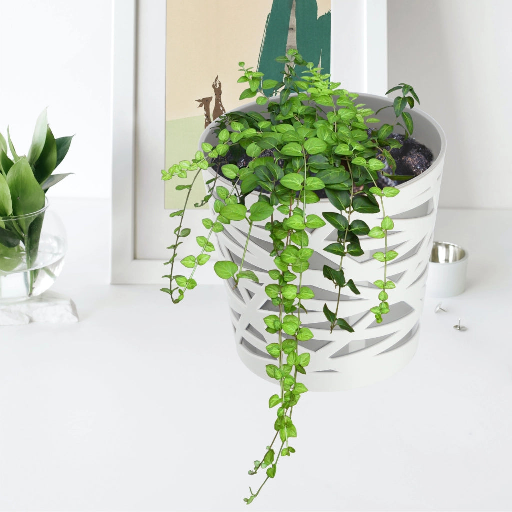 KADAX - Inserto in plastica per vaso di fiori e piante, 15 cm, grigio