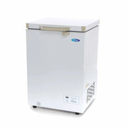 Congelatore a Pozzetto - 93L - 2 Ruote - Compatto