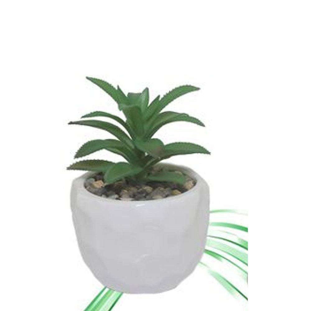 Trade Shop - Vaso In Ceramiche Per Piantine Casa Giardino Decorazione Interno Casa 15x9 Cm -