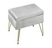Pouf Panca Imbottita Divanetto In Velluto Contenitore PortaOggetti Panca Sgabello A Pie Di Letto Con Gambe In Metallo Dorato Cassapanca Scarpiera Ingresso Legno Massello Panchina  - Grigio chiaro