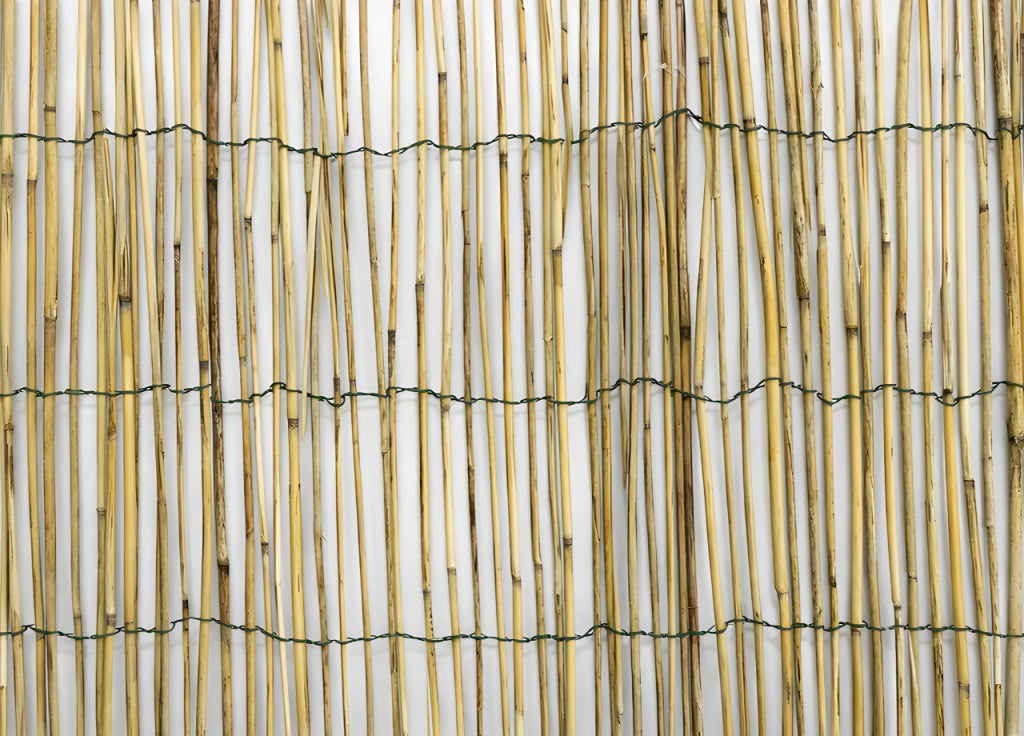 Rotolo Arella Rete Recinzione Canna Bamboo Simple Cannette Frangivista Naturale - 120x300 - Arella